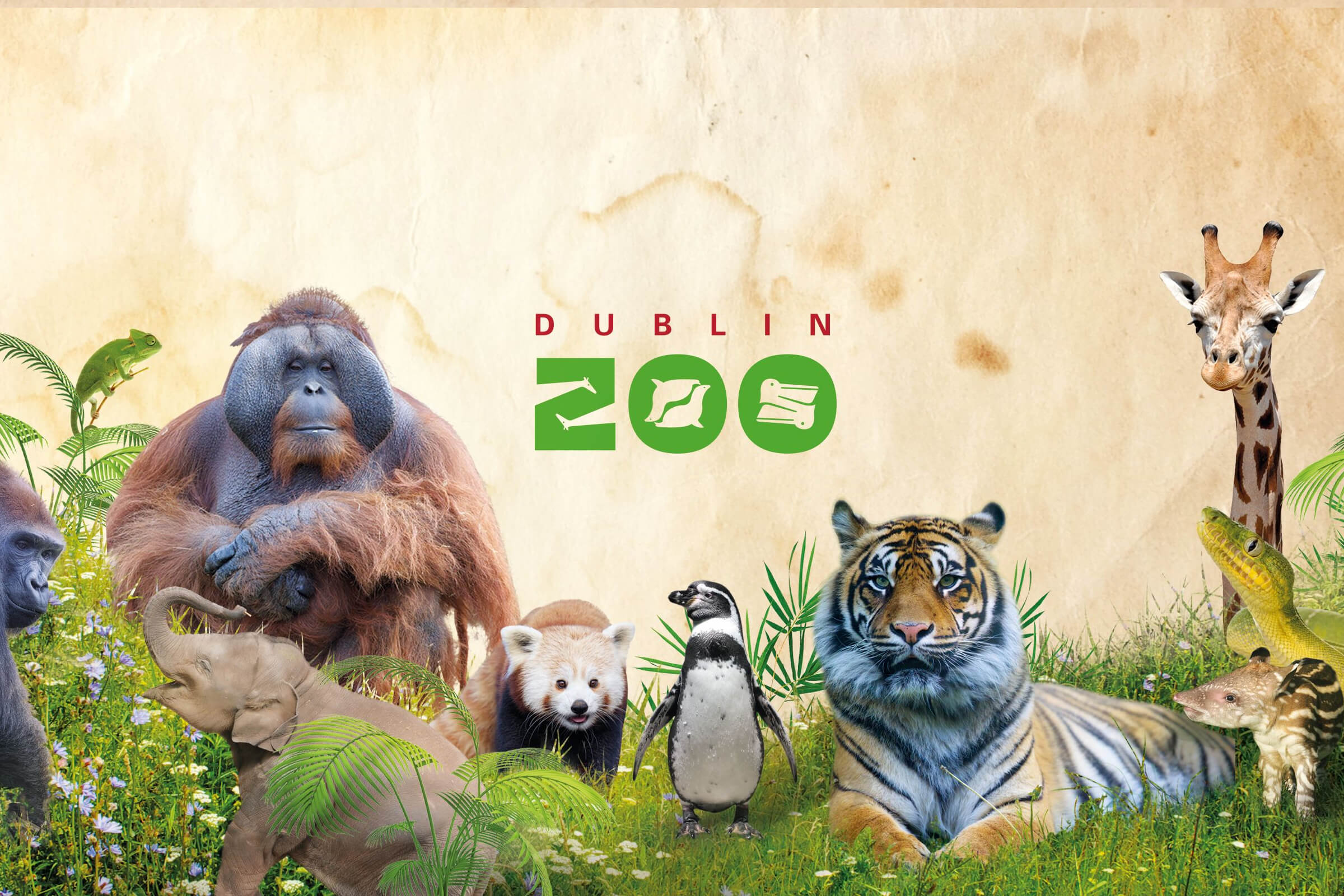 https://mdw-travel-data-us-east-1.s3.amazonaws.com/img/country/Ireland/Dublin-Zoo/img_02.jpg