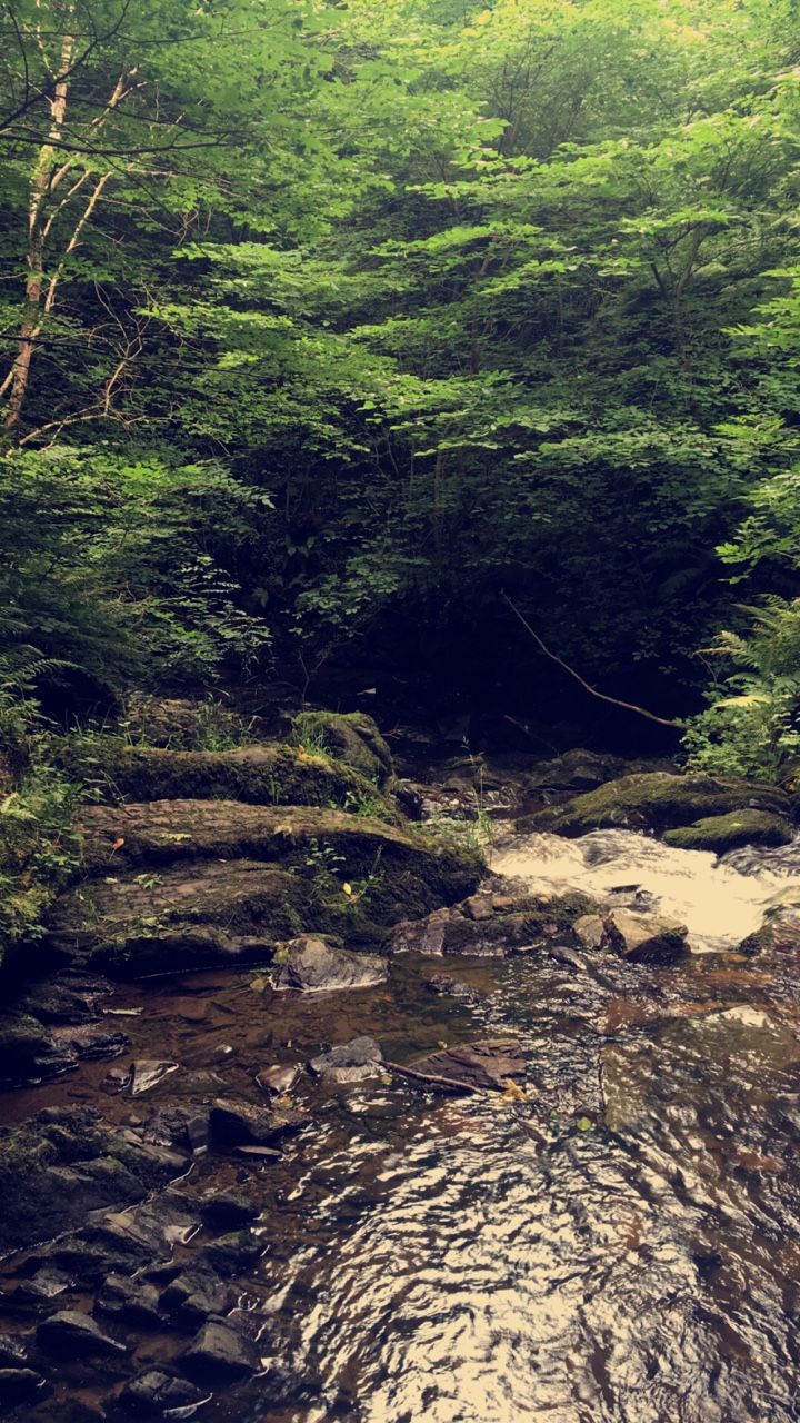 https://mdw-travel-data-us-east-1.s3.amazonaws.com/img/country/Ireland/Dun-na-Ri-Forest-Park/img_02.jpg
