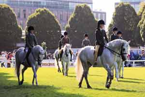 https://mdw-travel-data-us-east-1.s3.amazonaws.com/img/country/Ireland/Eaglewood-Horse-Trekking/img_02.jpg
