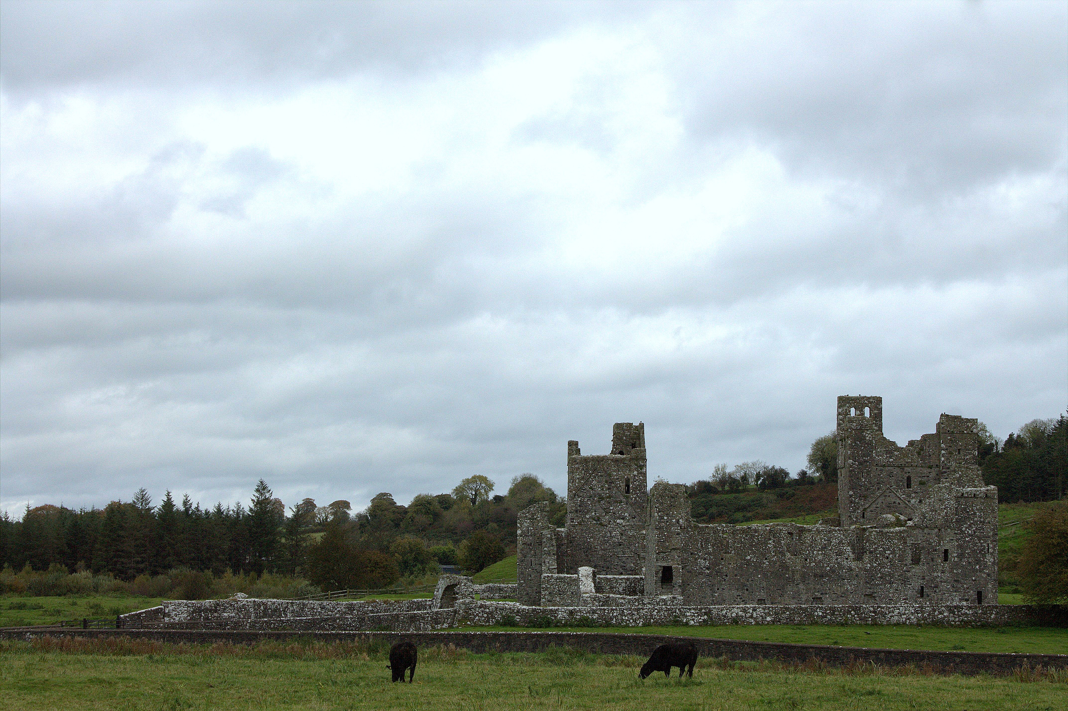 https://mdw-travel-data-us-east-1.s3.amazonaws.com/img/country/Ireland/Fore-Abbey/img_01.jpg