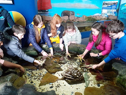 https://mdw-travel-data-us-east-1.s3.amazonaws.com/img/country/Ireland/Galway-Atlantaquaria-Dive-School/img_01.jpg