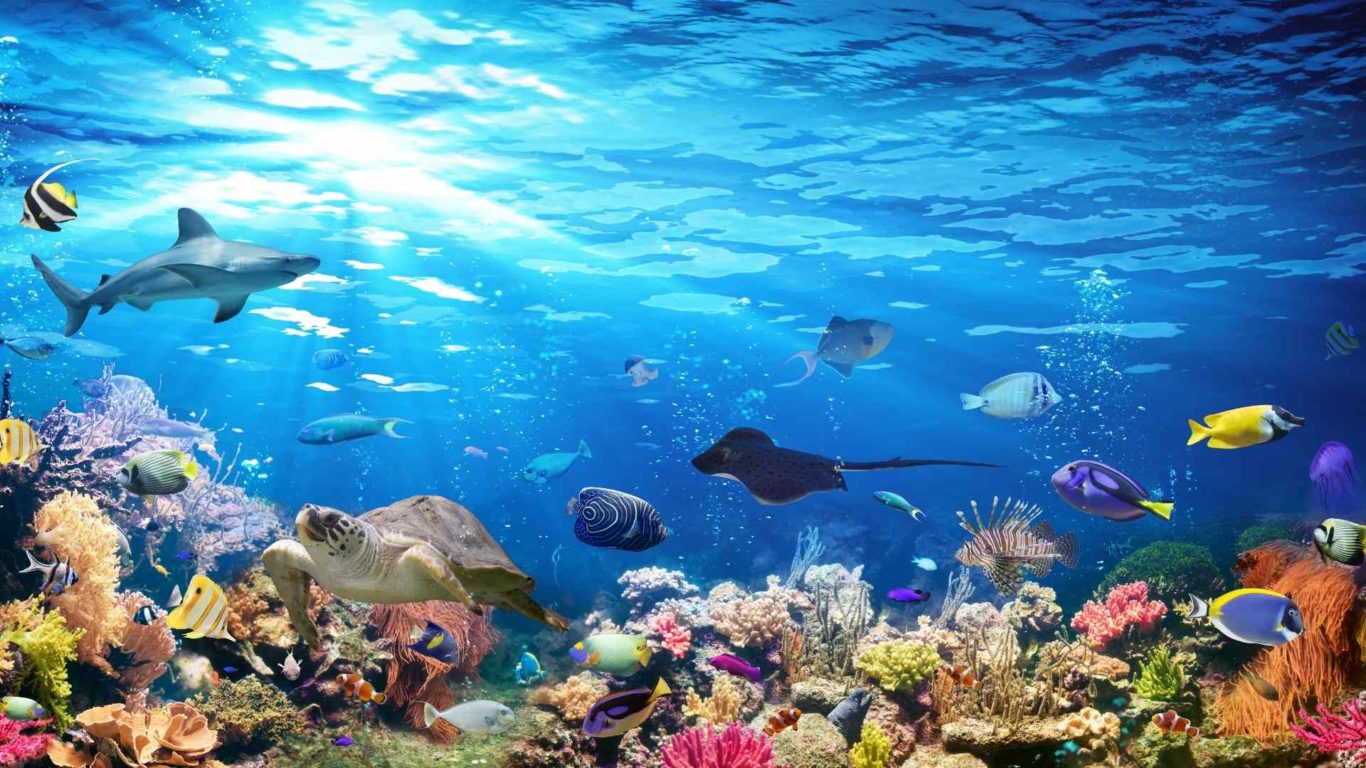 https://mdw-travel-data-us-east-1.s3.amazonaws.com/img/country/Ireland/Galway-Atlantaquaria-Outdoor-Pool/img_01.jpg