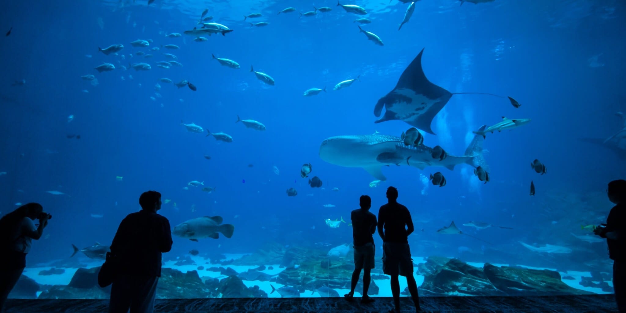 https://mdw-travel-data-us-east-1.s3.amazonaws.com/img/country/Ireland/Galway-Atlantaquaria-Outdoor-Pool/img_02.jpg