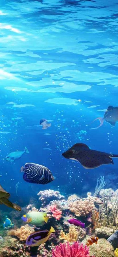 https://mdw-travel-data-us-east-1.s3.amazonaws.com/img/country/Ireland/Galway-Atlantaquaria-Outdoor-Pool/img_03.jpg
