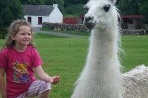 https://mdw-travel-data-us-east-1.s3.amazonaws.com/img/country/Ireland/Glendeer-Open-Farm/img_02.jpg