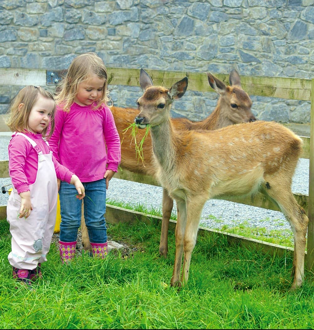 https://mdw-travel-data-us-east-1.s3.amazonaws.com/img/country/Ireland/Glendeer-Open-Farm/img_03.jpg