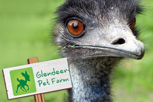 https://mdw-travel-data-us-east-1.s3.amazonaws.com/img/country/Ireland/Glendeer-Pet-Farm/img_02.jpg