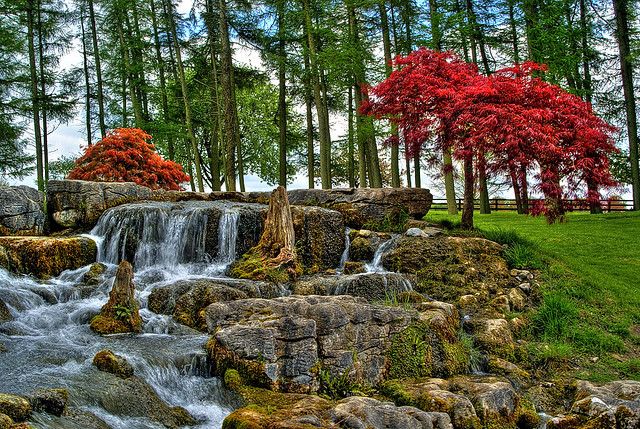 https://mdw-travel-data-us-east-1.s3.amazonaws.com/img/country/Ireland/Irish-National-Stud-and-Gardens/img_05.jpg