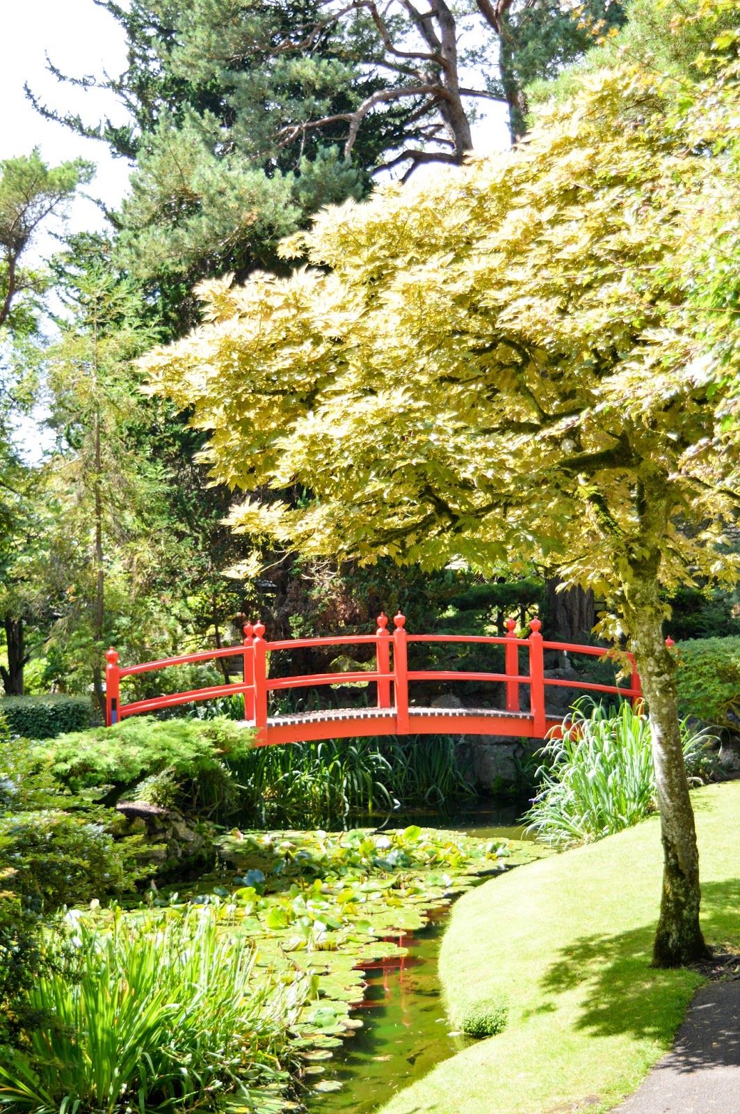 https://mdw-travel-data-us-east-1.s3.amazonaws.com/img/country/Ireland/Japanese-Gardens/img_02.jpg