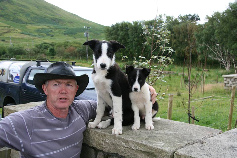 https://mdw-travel-data-us-east-1.s3.amazonaws.com/img/country/Ireland/Joyce-Country-Sheepdogs/img_01.jpg
