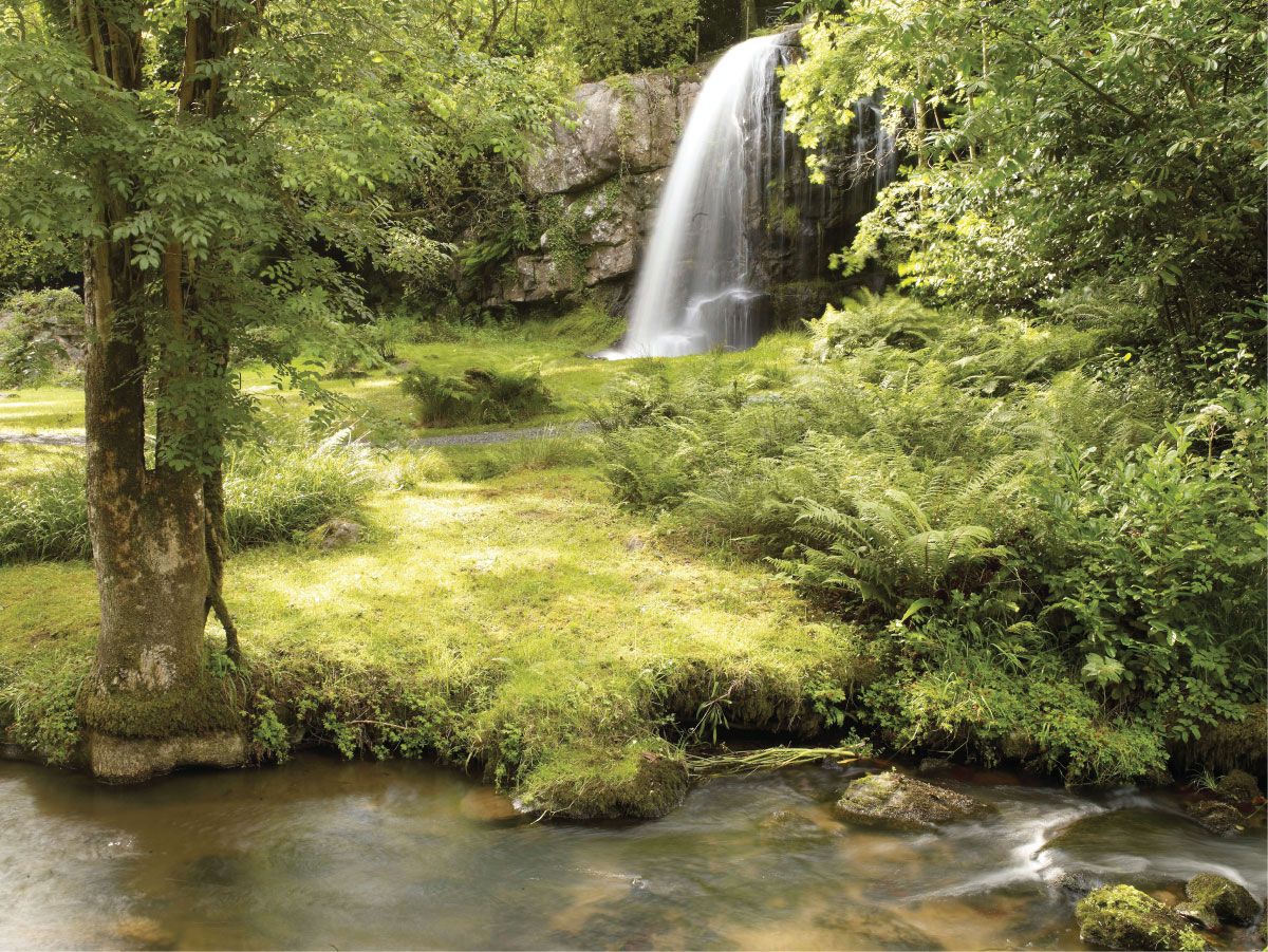 https://mdw-travel-data-us-east-1.s3.amazonaws.com/img/country/Ireland/Kilfane-Waterfall-and-Glen/img_00.jpg