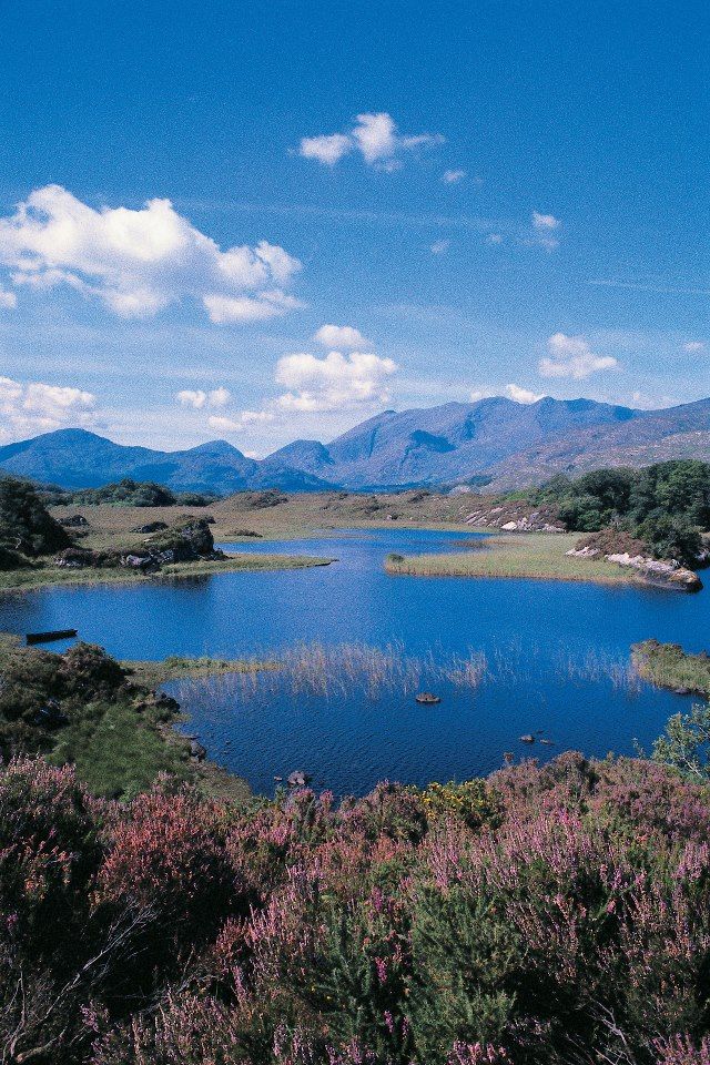 https://mdw-travel-data-us-east-1.s3.amazonaws.com/img/country/Ireland/Killarney-Lakes/img_03.jpg