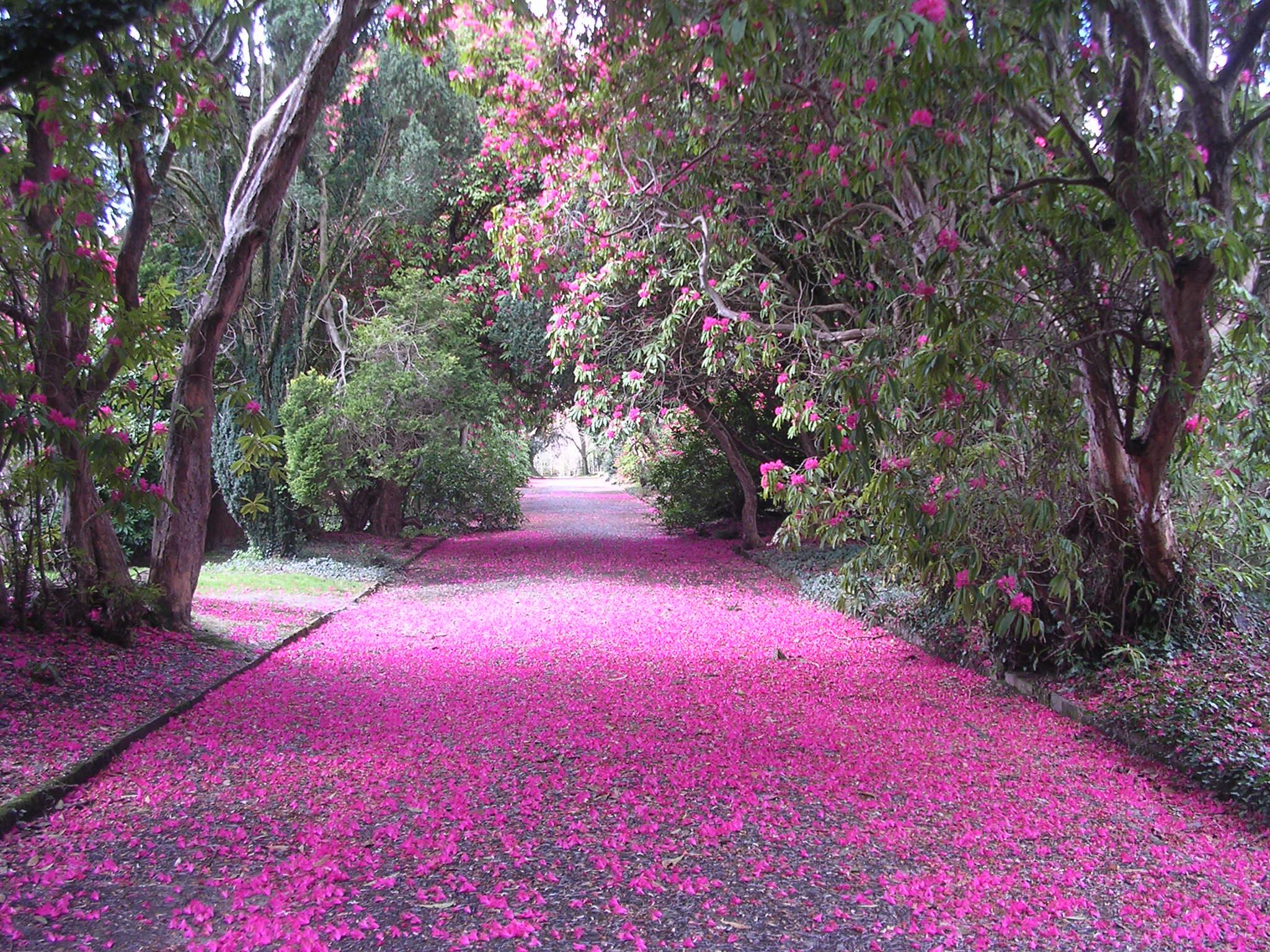 https://mdw-travel-data-us-east-1.s3.amazonaws.com/img/country/Ireland/Kilmacurragh-Botanic-Gardens/img_00.jpg