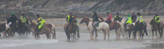https://mdw-travel-data-us-east-1.s3.amazonaws.com/img/country/Ireland/Kinsale-Equestrian-Centre/img_03.jpg