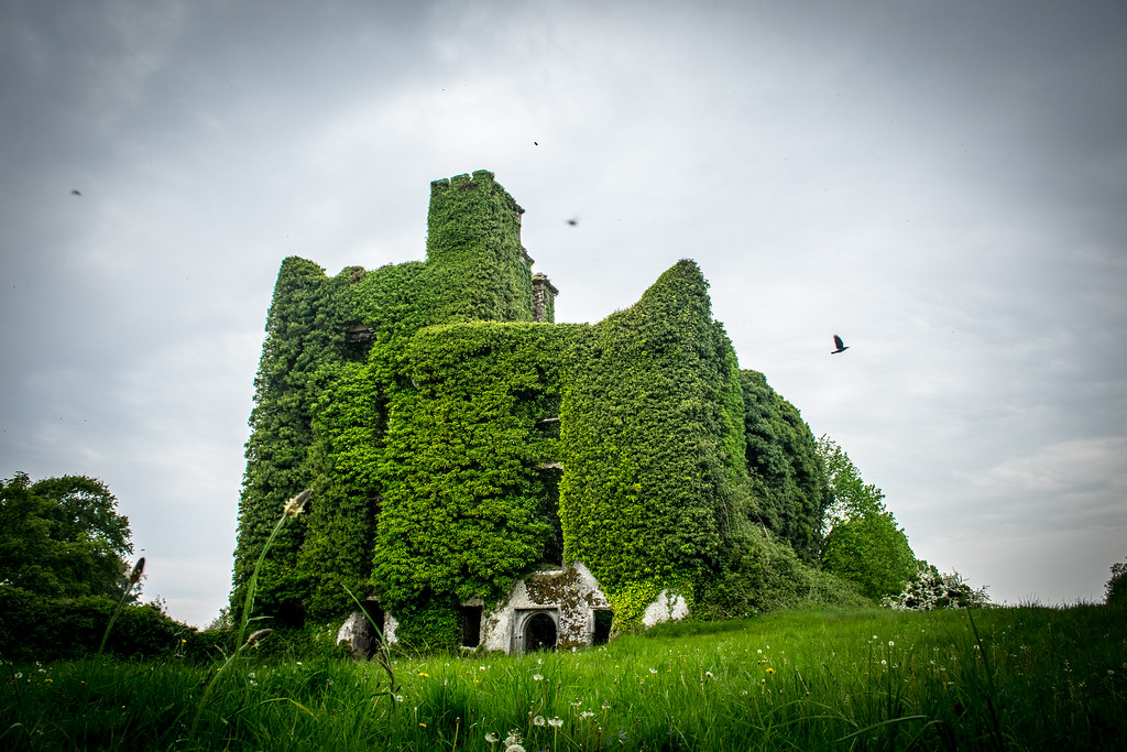 https://mdw-travel-data-us-east-1.s3.amazonaws.com/img/country/Ireland/Menlo-Castle/img_03.jpg