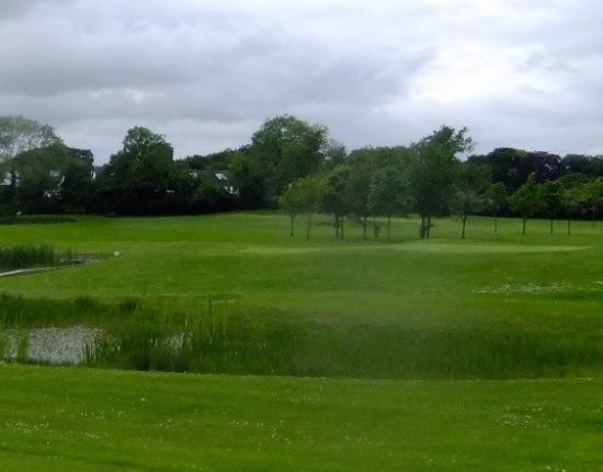 https://mdw-travel-data-us-east-1.s3.amazonaws.com/img/country/Ireland/Moate-Golf-Club/img_02.jpg