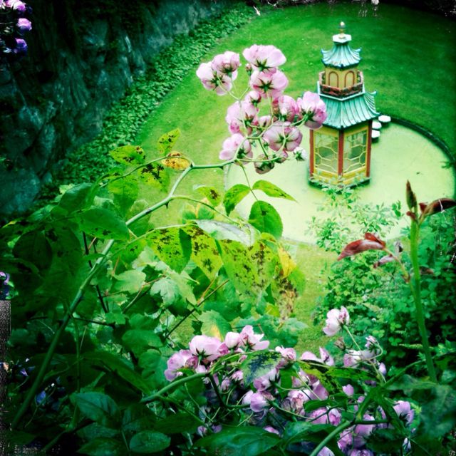 https://mdw-travel-data-us-east-1.s3.amazonaws.com/img/country/Ireland/Mount-Congreve-Gardens/img_01.jpg