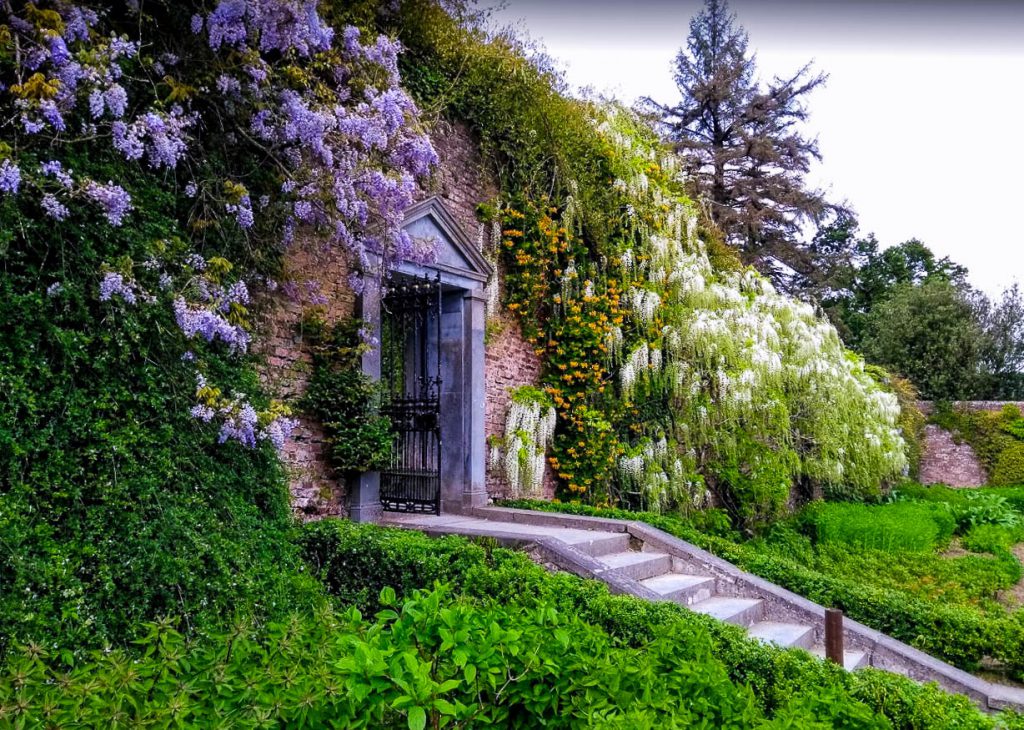 https://mdw-travel-data-us-east-1.s3.amazonaws.com/img/country/Ireland/Mount-Congreve-Gardens/img_03.jpg