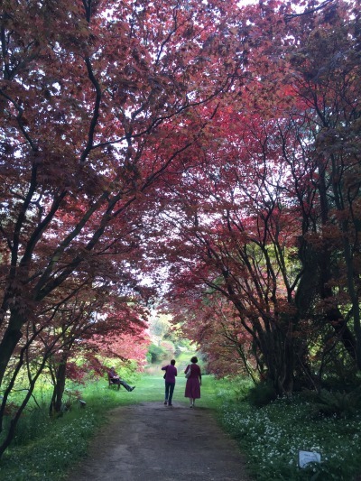 https://mdw-travel-data-us-east-1.s3.amazonaws.com/img/country/Ireland/Mount-Usher-Gardens/img_01.jpg