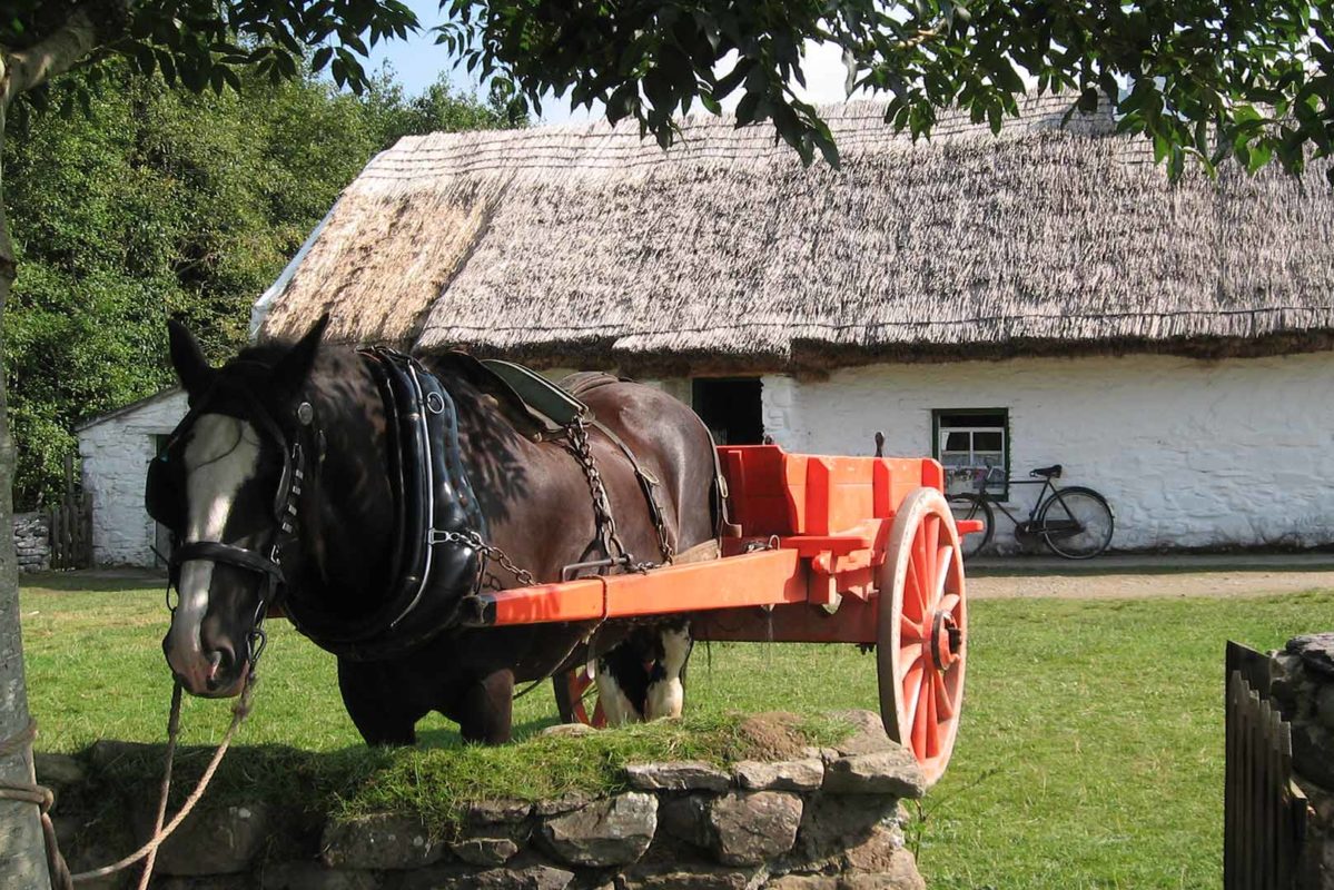 https://mdw-travel-data-us-east-1.s3.amazonaws.com/img/country/Ireland/Muckross-Traditional-Farms/img_00.jpg