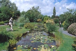 https://mdw-travel-data-us-east-1.s3.amazonaws.com/img/country/Ireland/National-Garden-Exhibition-Centre/img_03.jpg