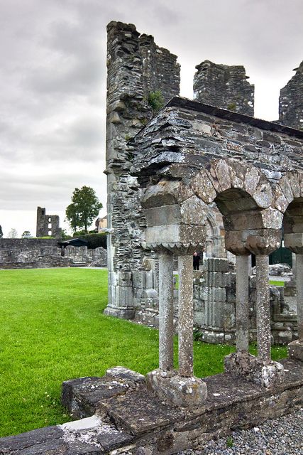 https://mdw-travel-data-us-east-1.s3.amazonaws.com/img/country/Ireland/Old-Mellifont-Abbey/img_03.jpg