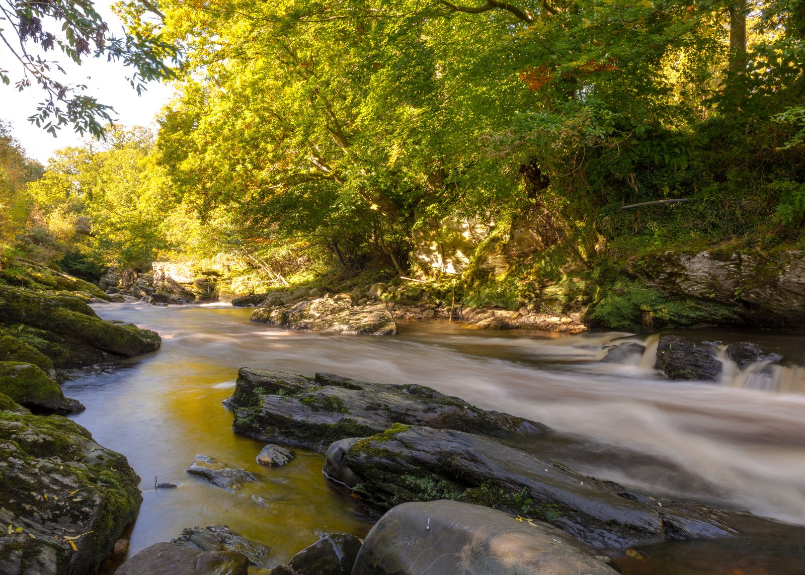 https://mdw-travel-data-us-east-1.s3.amazonaws.com/img/country/Ireland/Roe-Valley-Country-Park/img_02.jpg