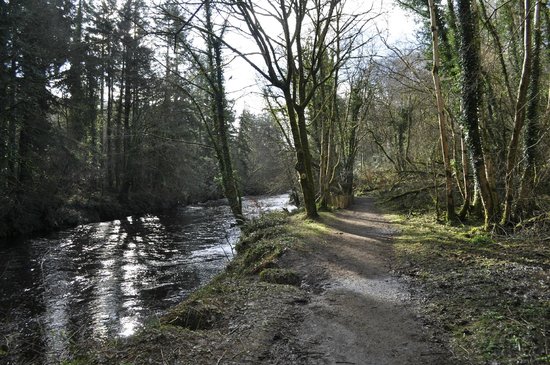 https://mdw-travel-data-us-east-1.s3.amazonaws.com/img/country/Ireland/Roe-Valley-Country-Park/img_03.jpg