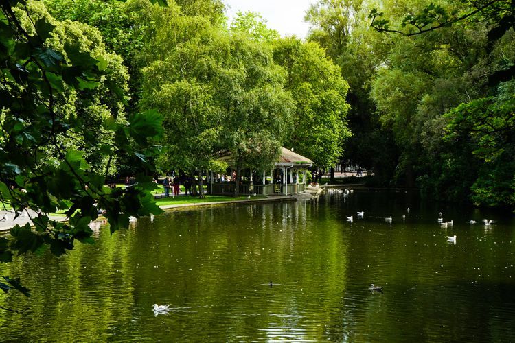 https://mdw-travel-data-us-east-1.s3.amazonaws.com/img/country/Ireland/St-Stephens-Green/img_03.jpg