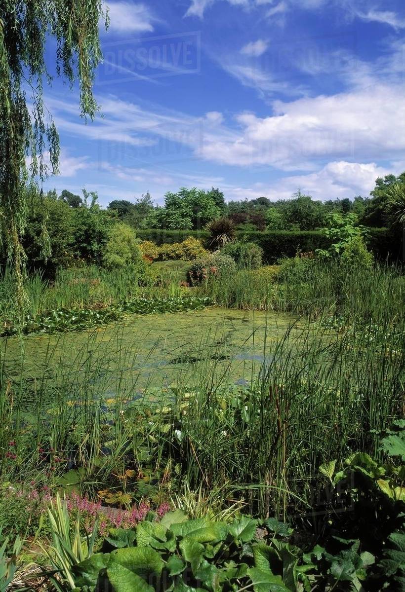https://mdw-travel-data-us-east-1.s3.amazonaws.com/img/country/Ireland/Talbot-Botanic-Gardens/img_00.jpg
