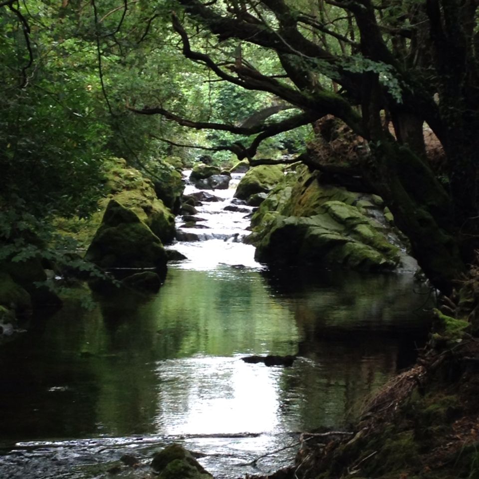 https://mdw-travel-data-us-east-1.s3.amazonaws.com/img/country/Ireland/Tollymore-Forest-Park/img_01.jpg