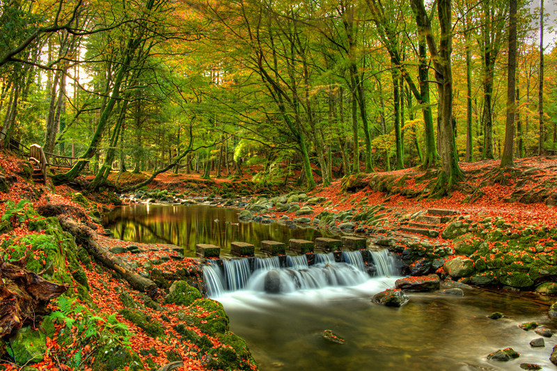 https://mdw-travel-data-us-east-1.s3.amazonaws.com/img/country/Ireland/Tollymore-Forest-Park/img_02.jpg