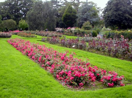 https://mdw-travel-data-us-east-1.s3.amazonaws.com/img/country/Ireland/Tralee-Town-Park/img_00.jpg