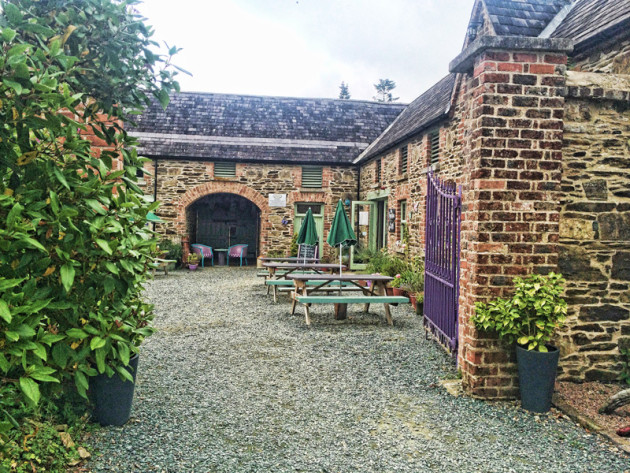 https://mdw-travel-data-us-east-1.s3.amazonaws.com/img/country/Ireland/Wexford-Lavender-Farm/img_03.jpg