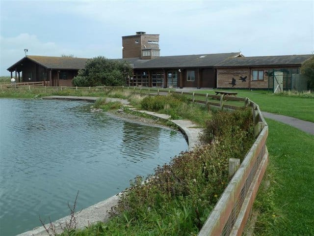 https://mdw-travel-data-us-east-1.s3.amazonaws.com/img/country/Ireland/Wexford-Wildfowl-Reserve/img_01.jpg
