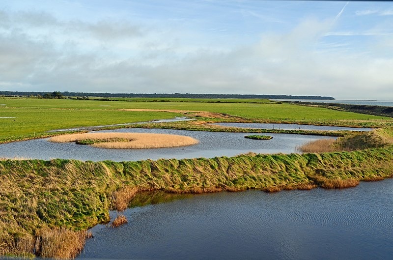 https://mdw-travel-data-us-east-1.s3.amazonaws.com/img/country/Ireland/Wexford-Wildfowl-Reserve/img_03.jpg