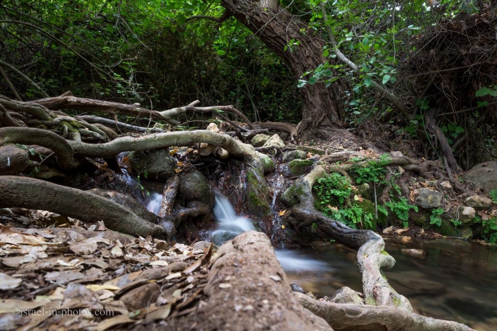 https://mdw-travel-data-us-east-1.s3.amazonaws.com/img/country/Israel/Amud-Stream-Nature-Reserve/img_01.jpg