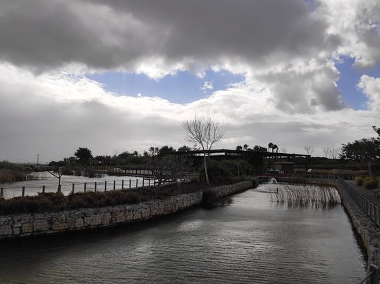 https://mdw-travel-data-us-east-1.s3.amazonaws.com/img/country/Israel/Ariel-Sharon-Park/img_02.jpg