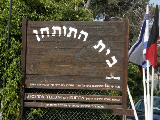 https://mdw-travel-data-us-east-1.s3.amazonaws.com/img/country/Israel/Beit-Hatotchan-The-Grafitti-House/img_00.jpg