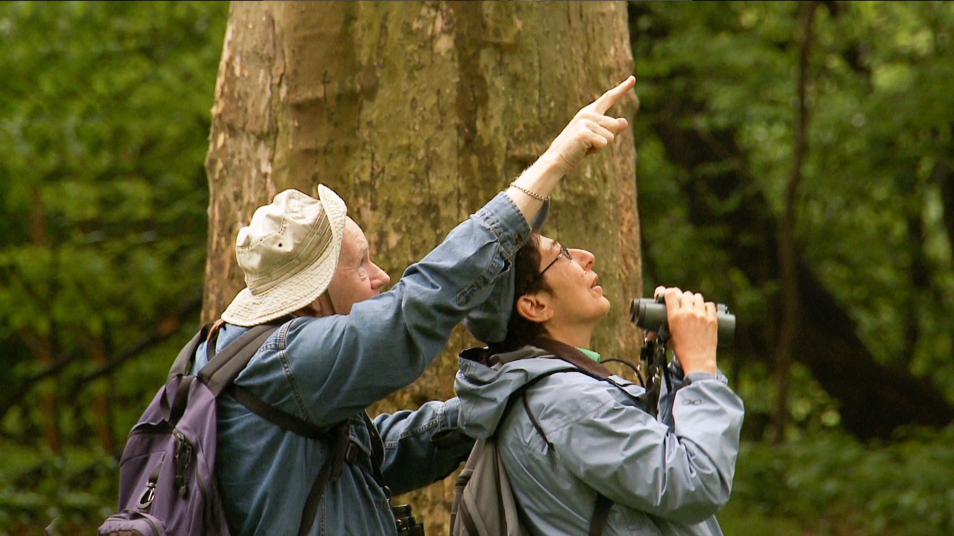 https://mdw-travel-data-us-east-1.s3.amazonaws.com/img/country/Israel/Bird-Watching-Park/img_00.jpg