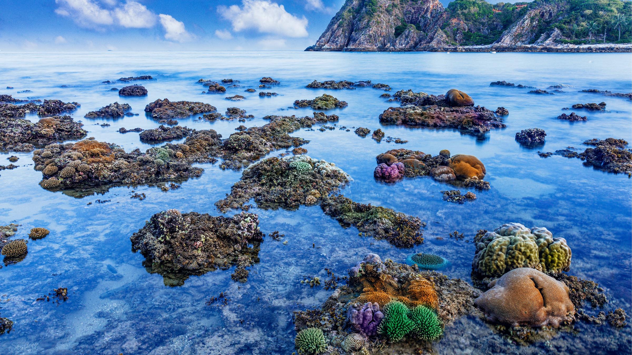 https://mdw-travel-data-us-east-1.s3.amazonaws.com/img/country/Israel/Coral-Beach-Nature-Reserve/img_01.jpg