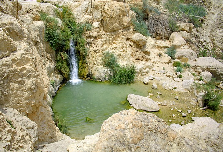 https://mdw-travel-data-us-east-1.s3.amazonaws.com/img/country/Israel/Dead-Sea-Museum/img_02.jpg