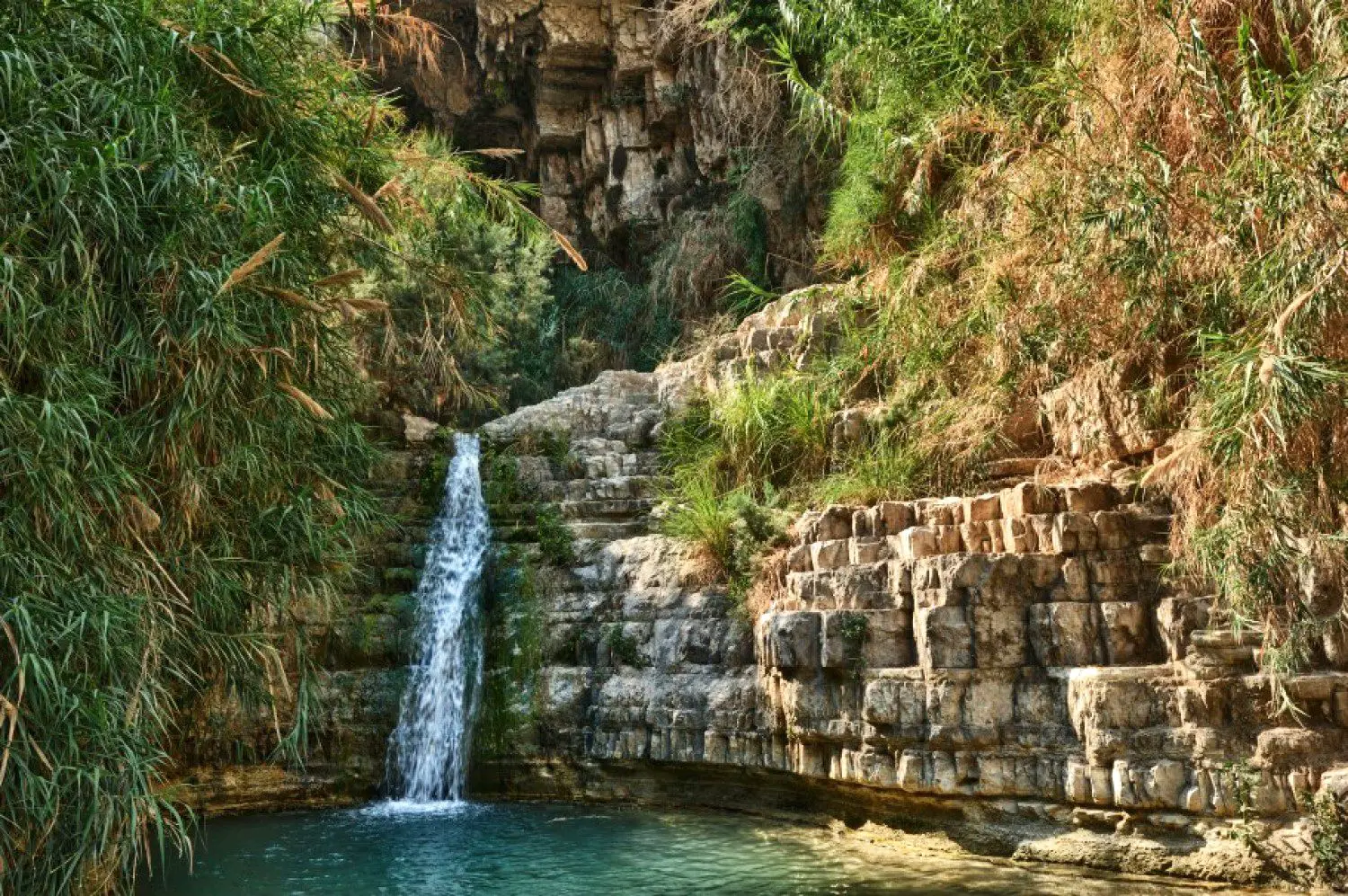 https://mdw-travel-data-us-east-1.s3.amazonaws.com/img/country/Israel/Ein-Gedi-Nature-Reserve/img_02.jpg