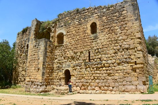 https://mdw-travel-data-us-east-1.s3.amazonaws.com/img/country/Israel/Ein-Hemed-National-Park/img_01.jpg