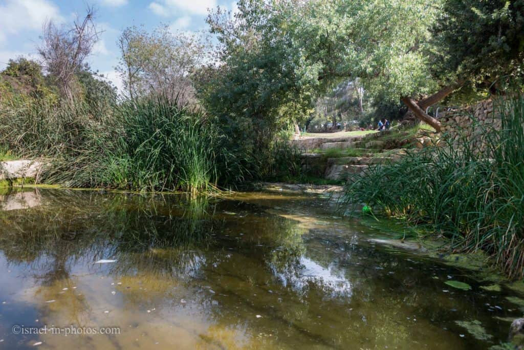 https://mdw-travel-data-us-east-1.s3.amazonaws.com/img/country/Israel/Ein-Hemed-National-Park/img_02.jpg