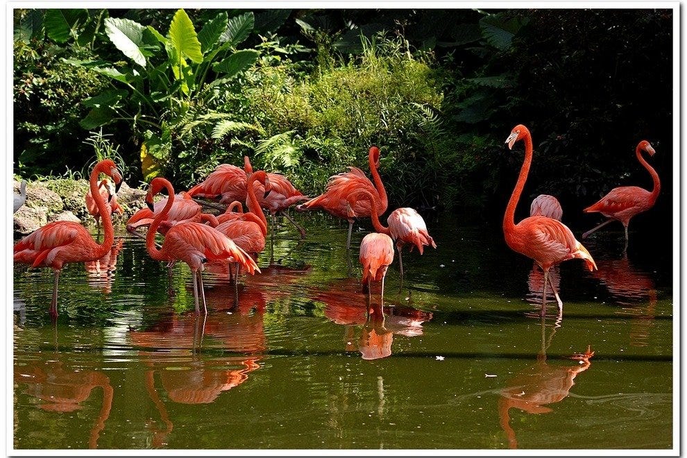 https://mdw-travel-data-us-east-1.s3.amazonaws.com/img/country/Israel/Flamingo-Lookout/img_03.jpg