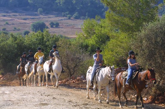 https://mdw-travel-data-us-east-1.s3.amazonaws.com/img/country/Israel/Havayat-Neot-Smadar/img_03.jpg
