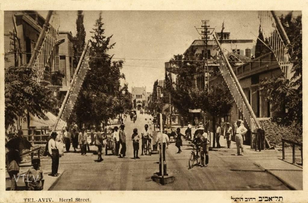 https://mdw-travel-data-us-east-1.s3.amazonaws.com/img/country/Israel/Herzl-Street-Promenade/img_01.jpg