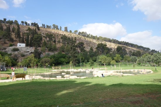 https://mdw-travel-data-us-east-1.s3.amazonaws.com/img/country/Israel/Maayan-Harod-National-Park/img_01.jpg