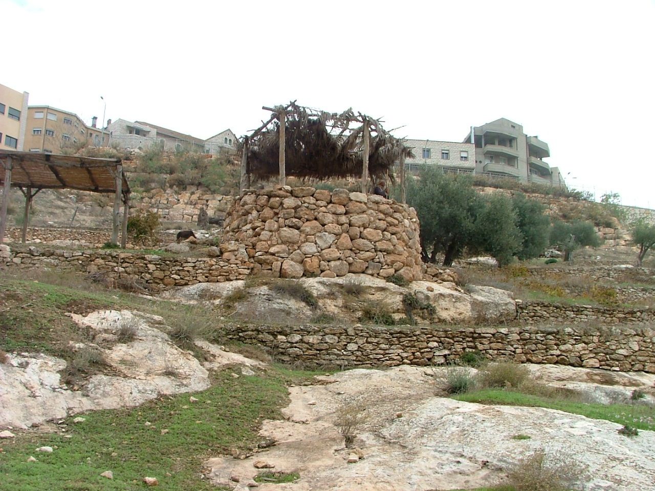 https://mdw-travel-data-us-east-1.s3.amazonaws.com/img/country/Israel/Nazareth-Village-Farm/img_01.jpg